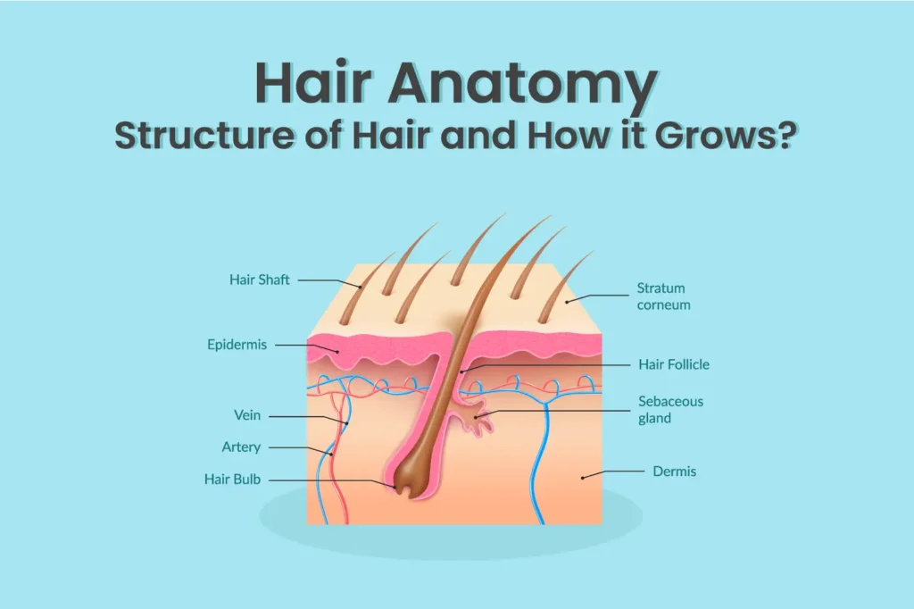 best skin, hair & laser clinic in raipur
